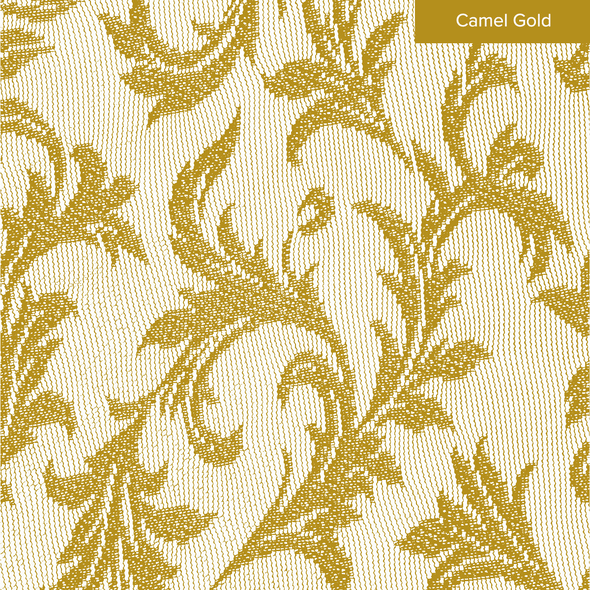 Florence Lace Sheer Curtain Ready Made