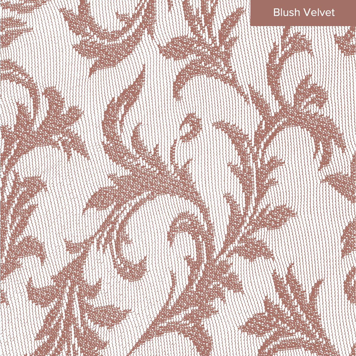 Florence Lace Sheer Curtain Ready Made