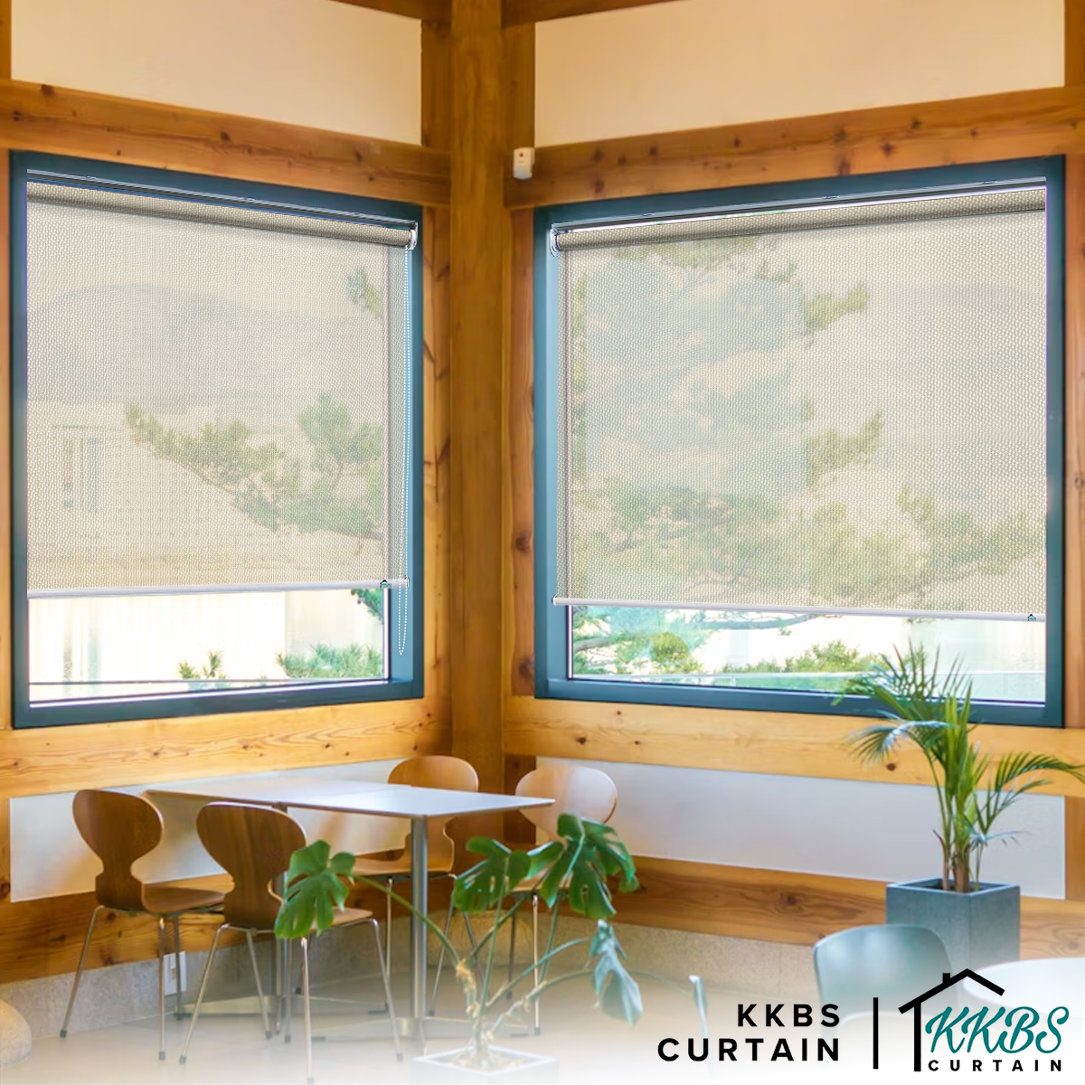 Enzono Sunscreen Roller Blinds Custom Made