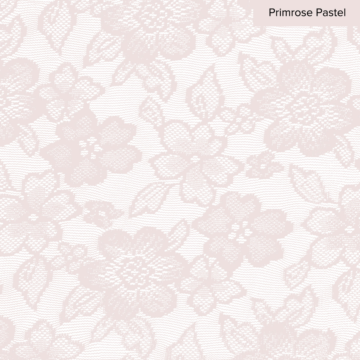 Camelia Lace Sheer Curtain Ready Made