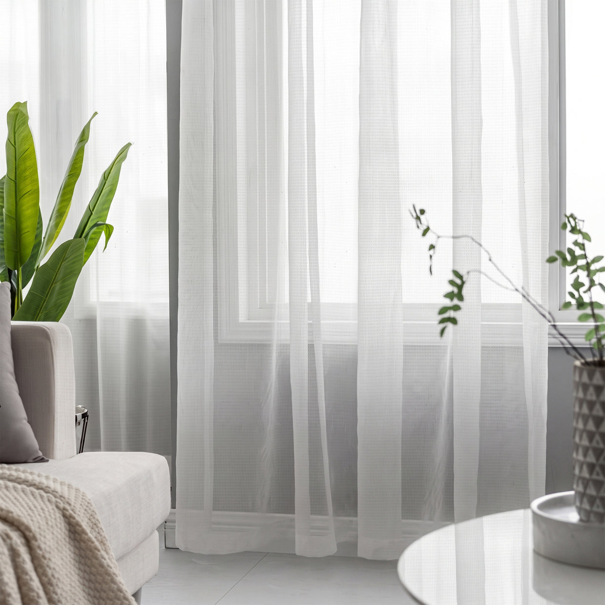 Delimy Sheer Curtain Custom Made